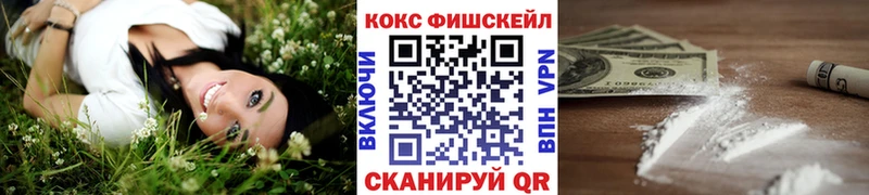 Купить где  Горбатов  COCAIN 99% 