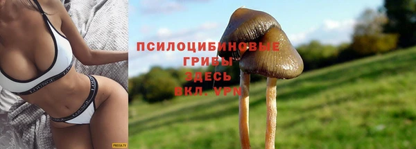 круглые Заволжск