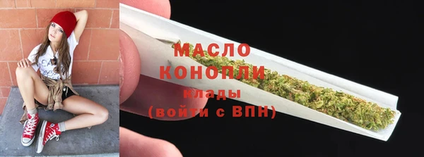 шишки Заводоуковск