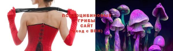 шишки Заводоуковск