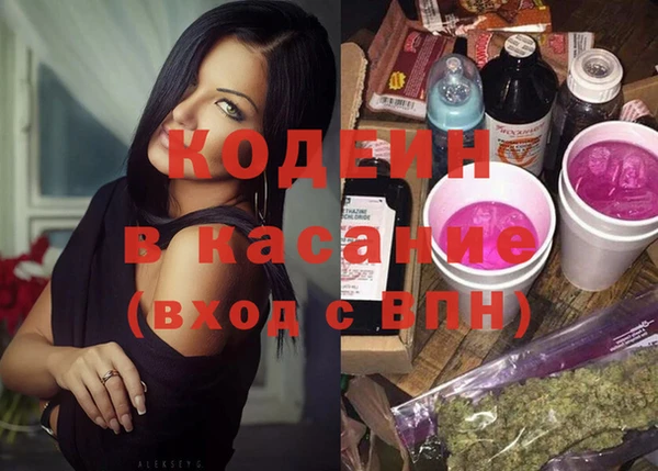 шишки Заводоуковск