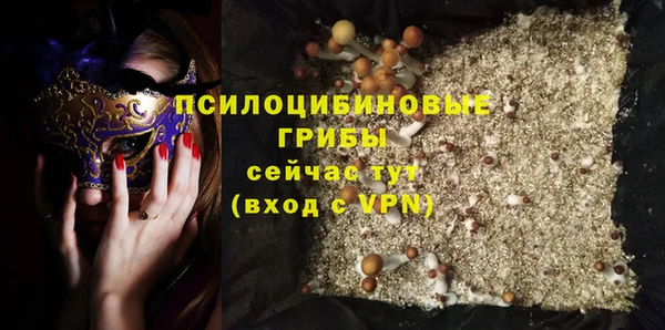 шишки Заводоуковск
