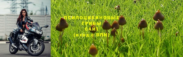 круглые Заволжск