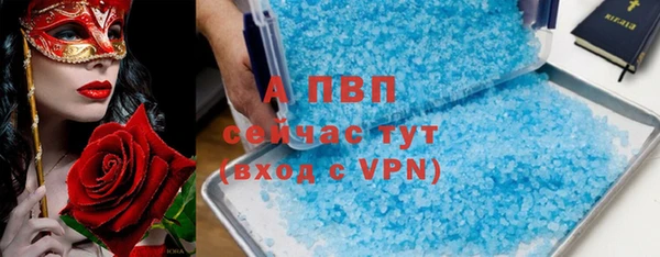 шишки Заводоуковск